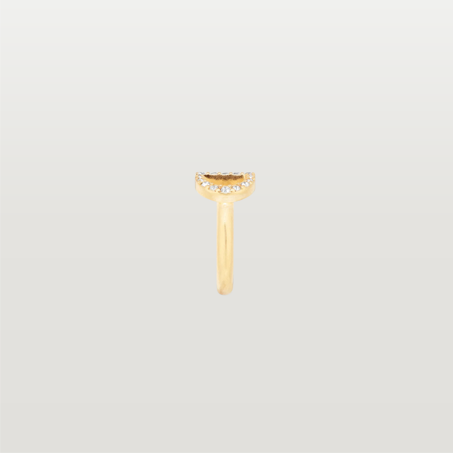 Petit CD Ring
